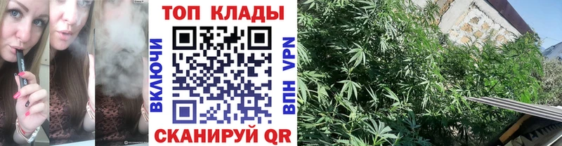 Как найти наркотики Петровск блэк спрут как войти  Канабис  МЕФ  A-PVP  ГАШИШ  КОКАИН 