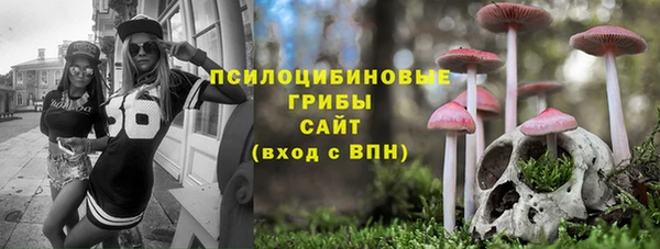 винт Алексеевка